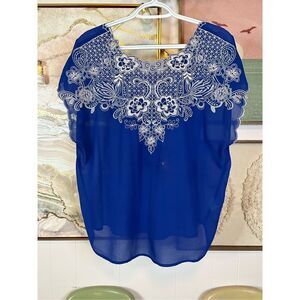 Champagne and Strawberry Anthro sheer blue blouse with lace detailing size Mediu
